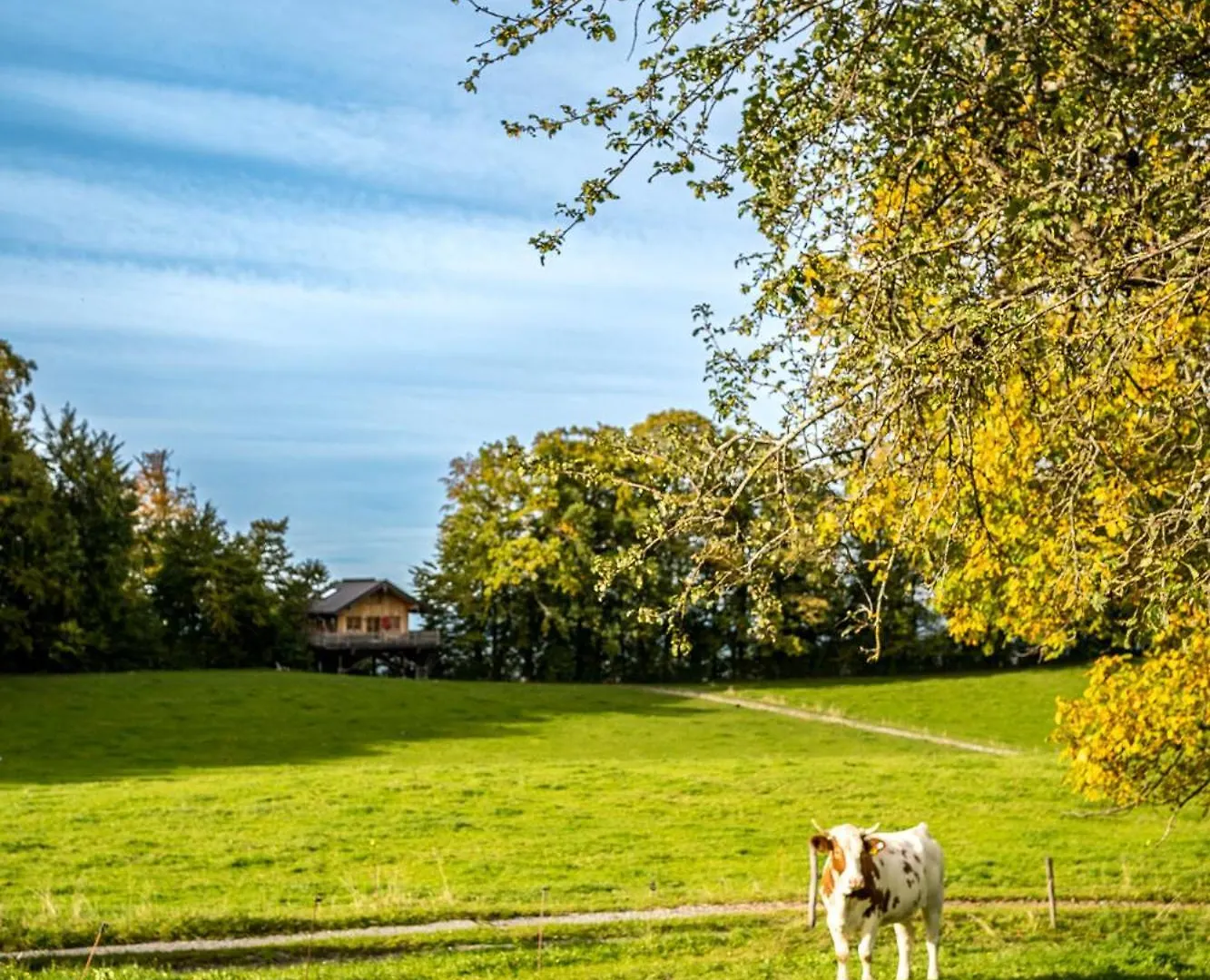 Holiday home Baumhaus Samerberg